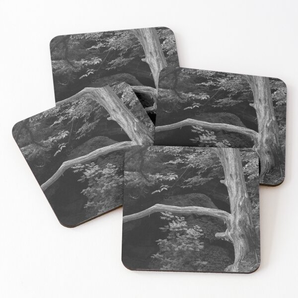 Item preview, Dead Tree Hanging designed and sold by DRArtPrintables.