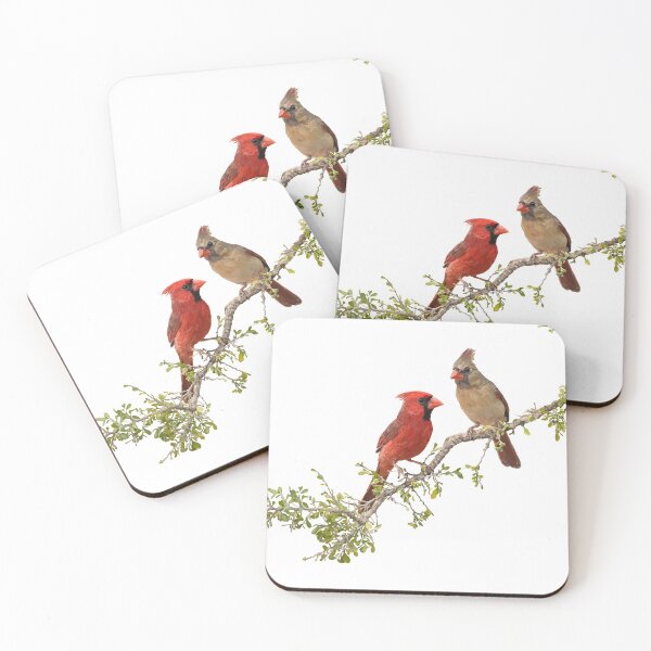 Item preview, Detailed Cardinals designed and sold by potenzastudios.