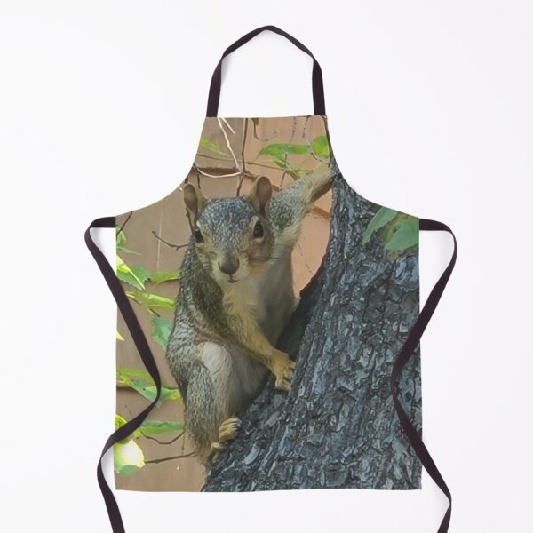 Item preview, Squirrel!! designed and sold by DDrialo.
