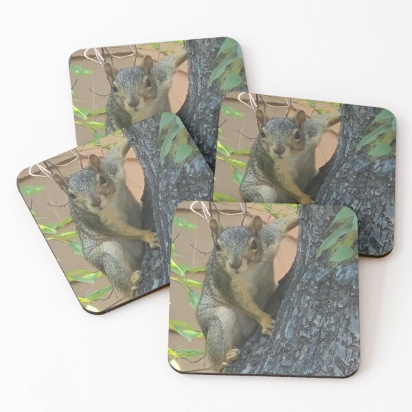Item preview, Squirrel!! designed and sold by DDrialo.