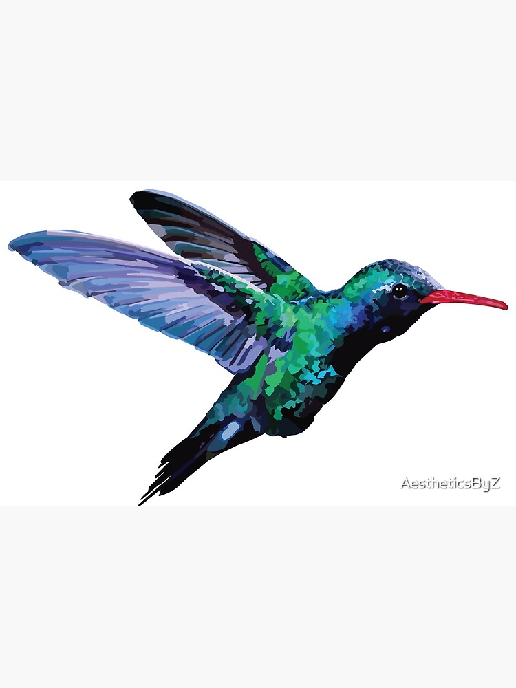 Realistic Colorful Hummingbird | Art Print