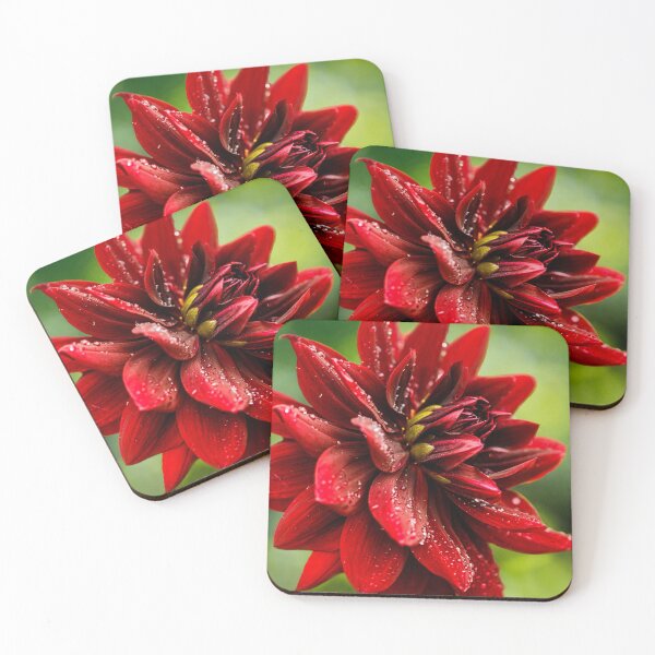 Item preview, RIP City Dahlia designed and sold by jillianbutolphphoto.