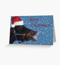 Funny Christmas Pony Greeting Card