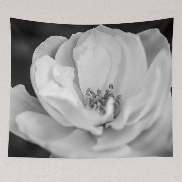 Item preview, Close up white flower petals in black and white designed and sold by James-Cole.