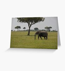 Elephant in Kenya, Africa Greeting Card