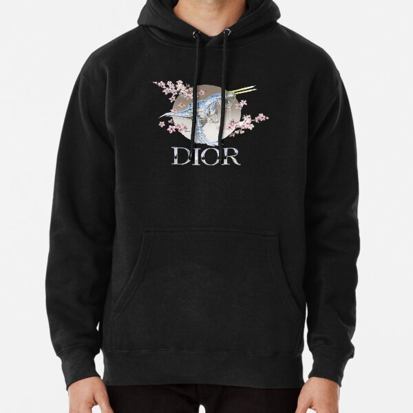dior t rex hoodie