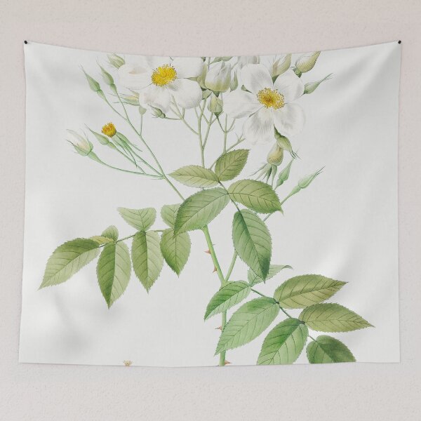 Item preview, Les Roses by Pierre-Joseph Redouté designed and sold by EsotericBotanic.