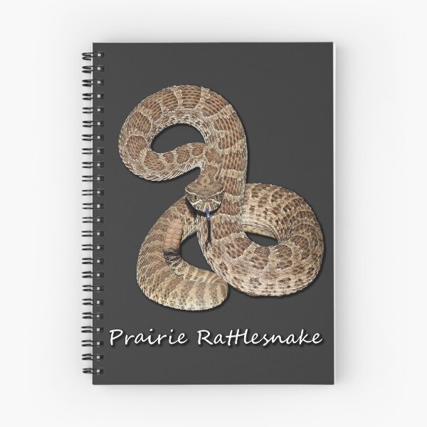 Item preview, Prairie Rattlesnake designed and sold by Paul-Prints.