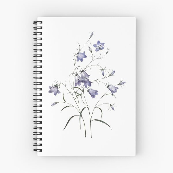 Item preview, Pierre-Joseph Redouté: Bellflower designed and sold by antaltamas89.