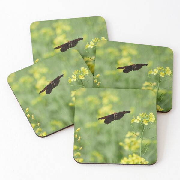 Item preview, From flower to flower. European peacock designed and sold by Jouko Lehto Photography.