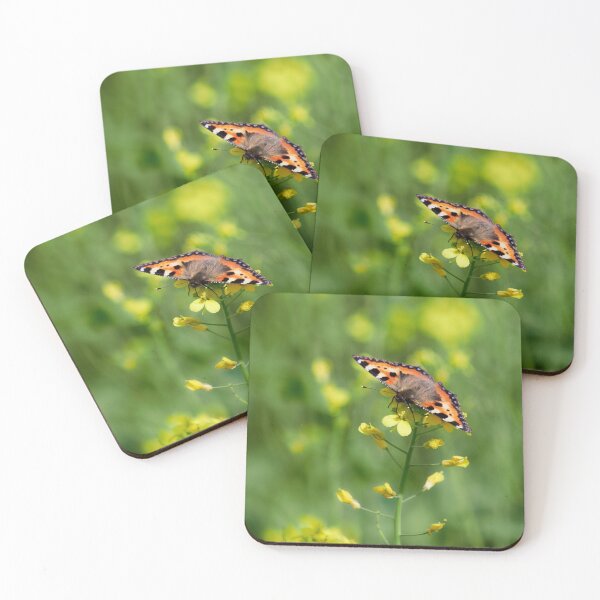 Item preview, Service of the nature. Small tortoiseshell designed and sold by Jouko Lehto Photography.