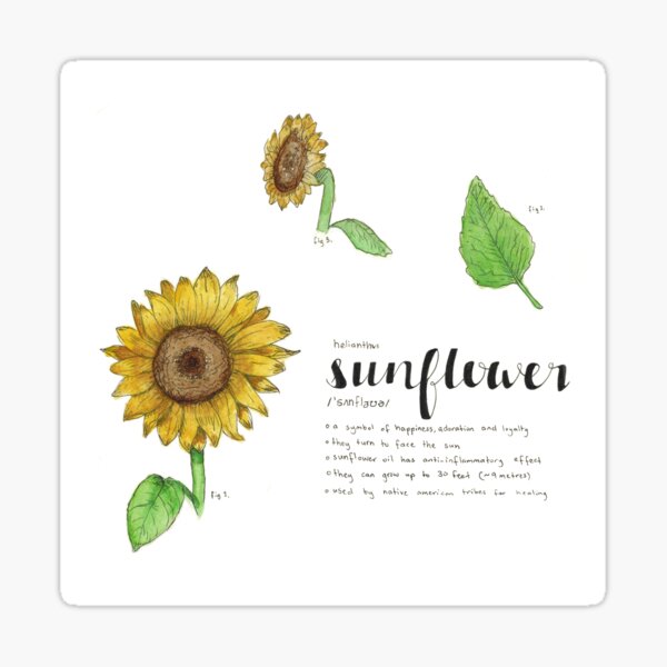 Item preview, Sunflower designed and sold by chaikitkat.