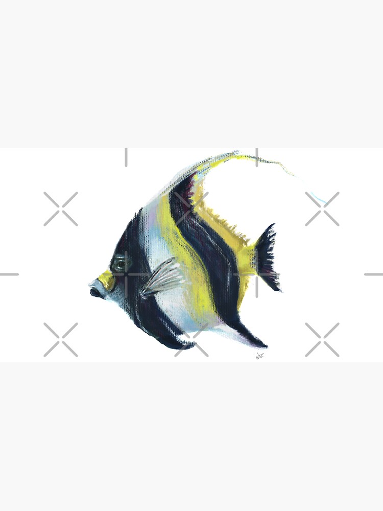 Banner fish by ebozzastudio