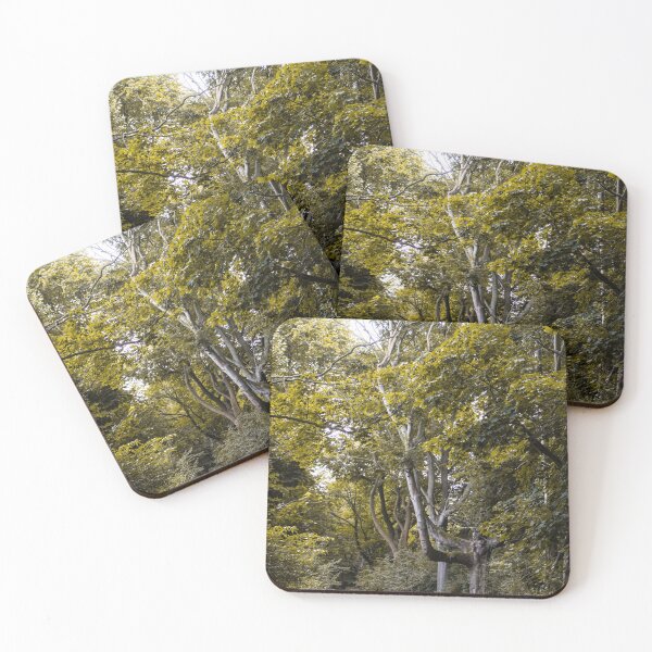 Item preview, Woodland Tree Scene designed and sold by jamesk-photo.
