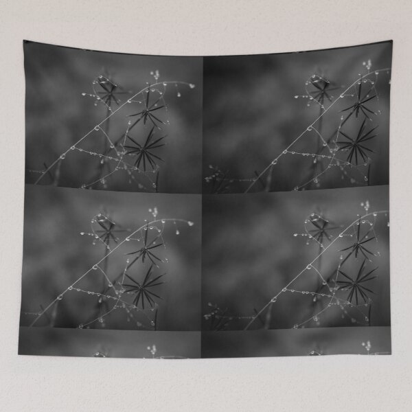 Item preview, Mathematics in dew drops designed and sold by Clare Colins.