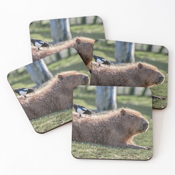 Item preview, Capybara and Magpie friend looking for insects to eat designed and sold by Dalyndigital Photography.