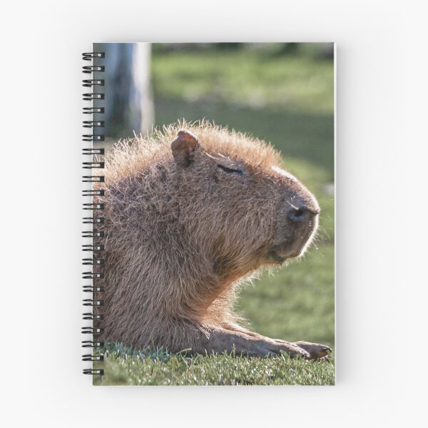 Item preview, Capybara and Magpie friend looking for insects to eat designed and sold by Dalyndigital Photography.