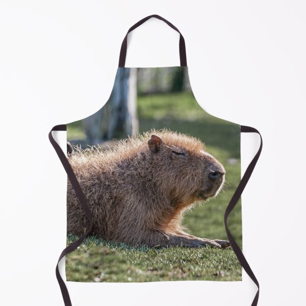 Item preview, Capybara and Magpie friend looking for insects to eat designed and sold by Dalyndigital Photography.