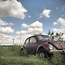 Odessa Beetle by ponycargirl