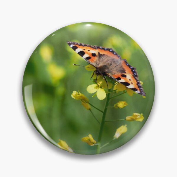 Item preview, Service of the nature. Small tortoiseshell designed and sold by Jouko Lehto Photography.