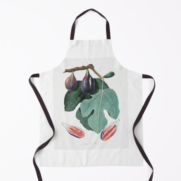 Item preview, Fig (Figus Carica) from Pomona Italiana (1817 - 1839) by Giorgio Gallesio (1772-1839). Original from The New York Public Library. designed and sold by LenaShines.