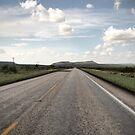 Lonely Highway by ponycargirl