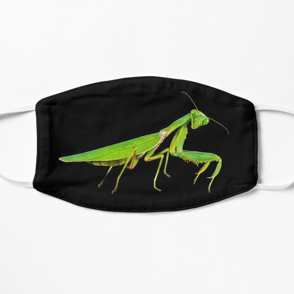 Praying Mantis Flat Mask