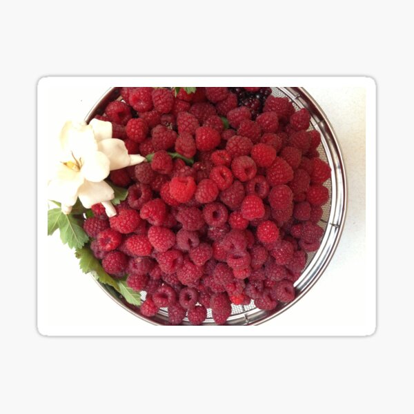 Artikel-Vorschau von Himbeeren, designt und verkauft von Ecobella.