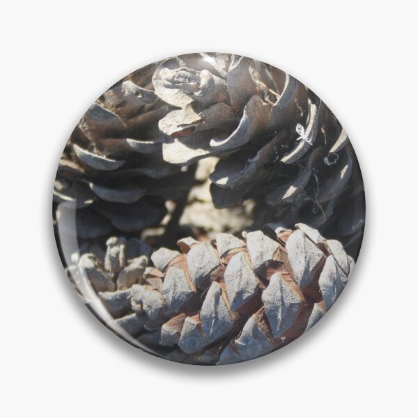 Item preview, Calabrian Pinecones Nature Photography designed and sold by taiche.