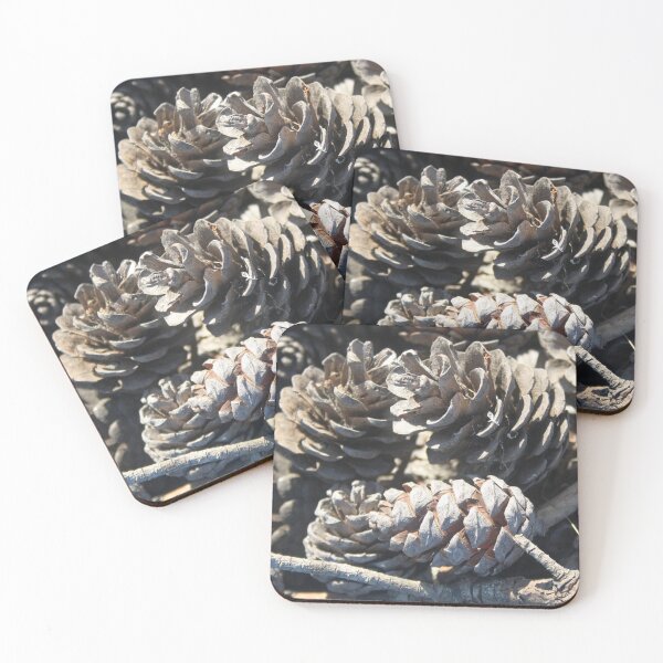 Item preview, Calabrian Pinecones Nature Photography designed and sold by taiche.