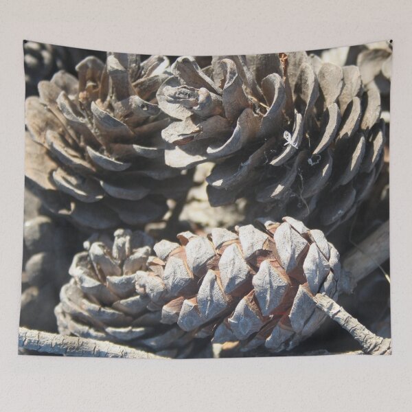 Item preview, Calabrian Pinecones Nature Photography designed and sold by taiche.