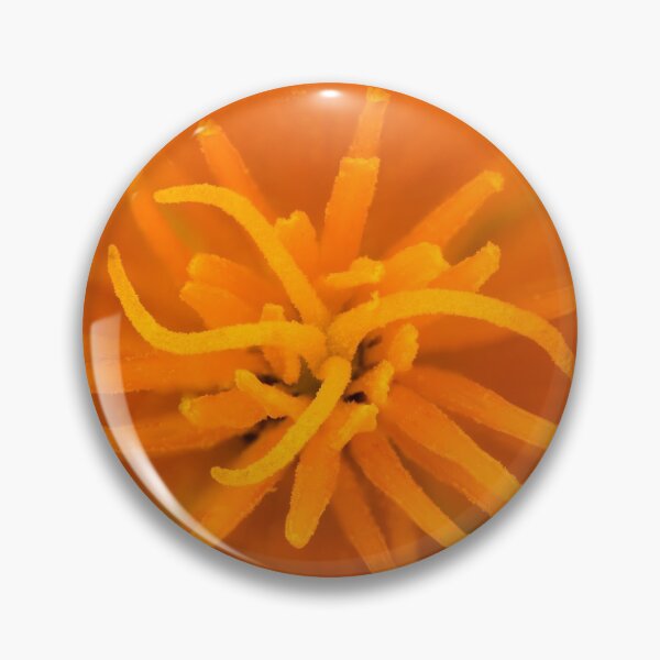 Item preview, California Wild Poppy Center designed and sold by KRBailey.