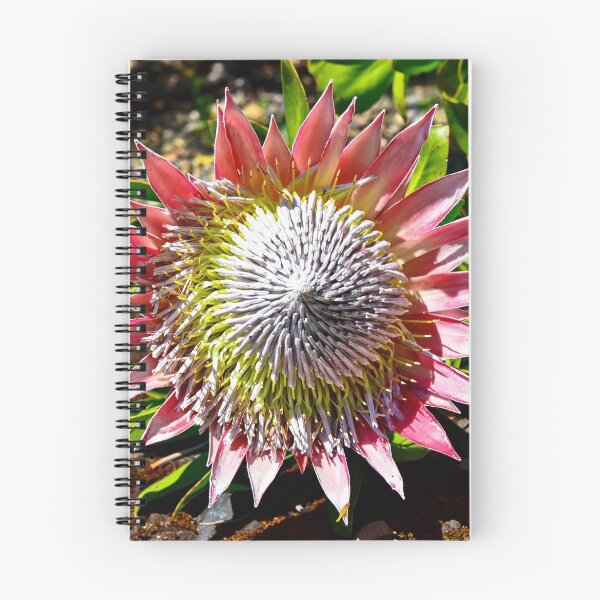 Item preview, Protea 3 designed and sold by Josette Halls.
