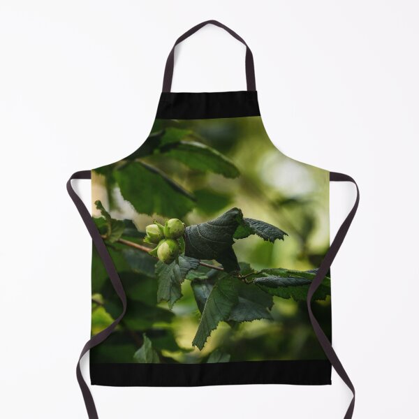 Item preview, Three hazelnuts grow on a hazel tree in an Irish forest designed and sold by AlbertMi.