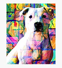 DOLLAR Photographic Print