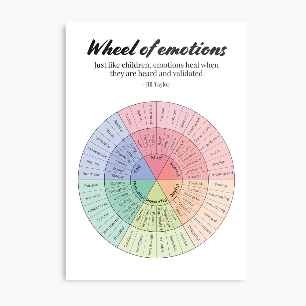 Magnet Feelings Chart for Kids and Toddlers - Mood Meter Emotions Chart for  Kids - Feelings Poster for Classroom, Therapy, or Home - Emotions Poster