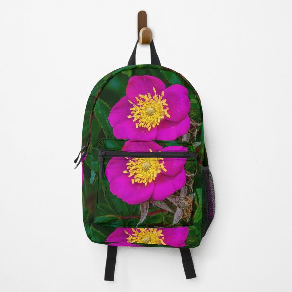 Item preview, Dog rose designed and sold by Dalyndigital Photography.