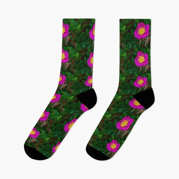 Item preview, Dog rose designed and sold by Dalyndigital Photography.