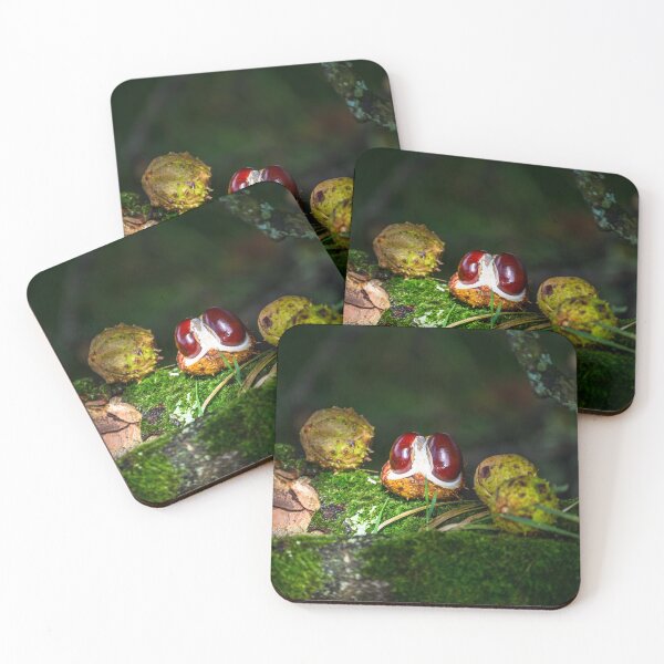 Item preview, Chestnut, conker in the autumn forest designed and sold by AlbertMi.