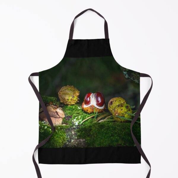 Item preview, Chestnut, conker in the autumn forest designed and sold by AlbertMi.