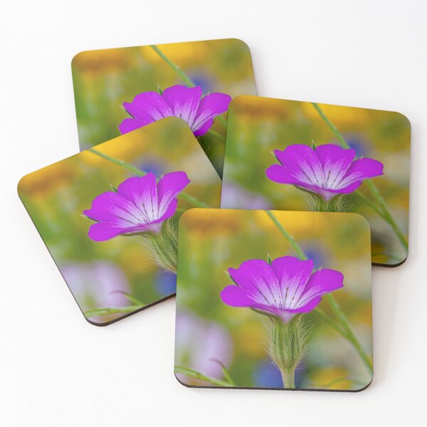 Item preview, Corncockle, a native UK wildflower designed and sold by Dalyndigital Photography.