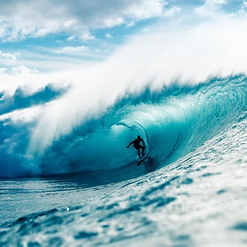 Artwork thumbnail, Ocean Surfing by Petal & Paw