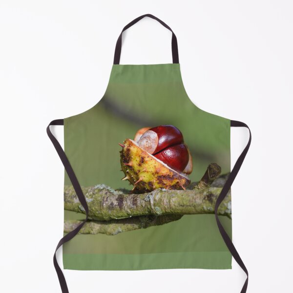 Item preview, Chestnut, conker in the autumn forest designed and sold by AlbertMi.