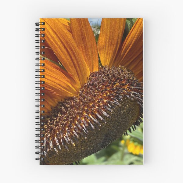 Item preview, Orange Sunflower  designed and sold by CreativeAD.