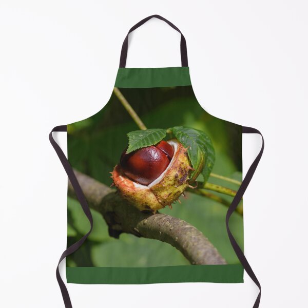 Item preview, Chestnut, conker in the autumn forest designed and sold by AlbertMi.