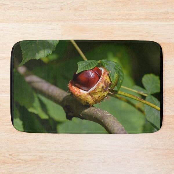 Item preview, Chestnut, conker in the autumn forest designed and sold by AlbertMi.
