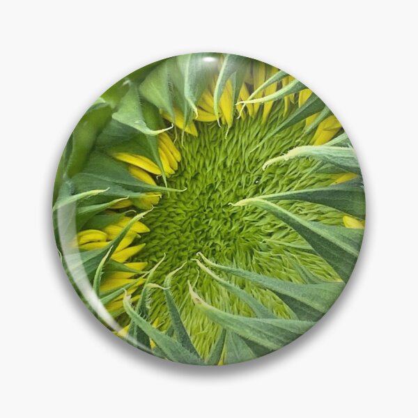 Item preview, Sunflower 3 designed and sold by CreativeAD.