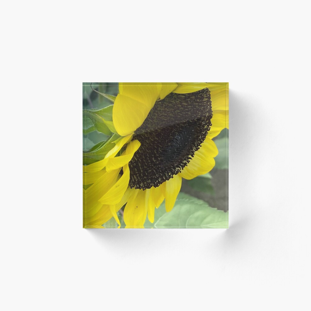 Item preview, Acrylic Block designed and sold by CreativeAD.