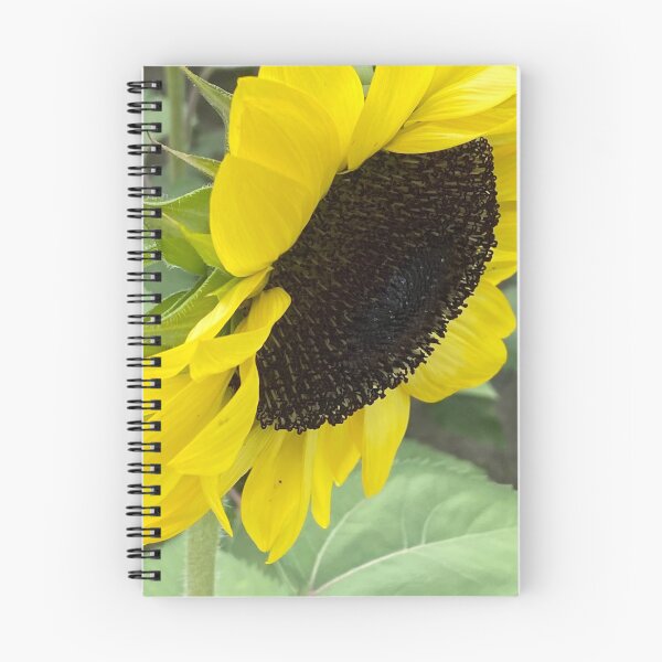 Artikelvorschau, Sonnenblume 3 entworfen und verkauft von CreativeAD.