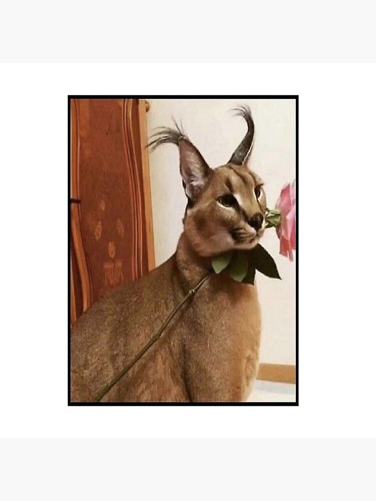 Big Floppa Funny Caracal Big Cat Meme Art Board Print for Sale by  dinnashop